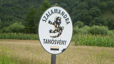 Kirandulastervezo-Dedestapolcsany-Szalamandra-tanosveny